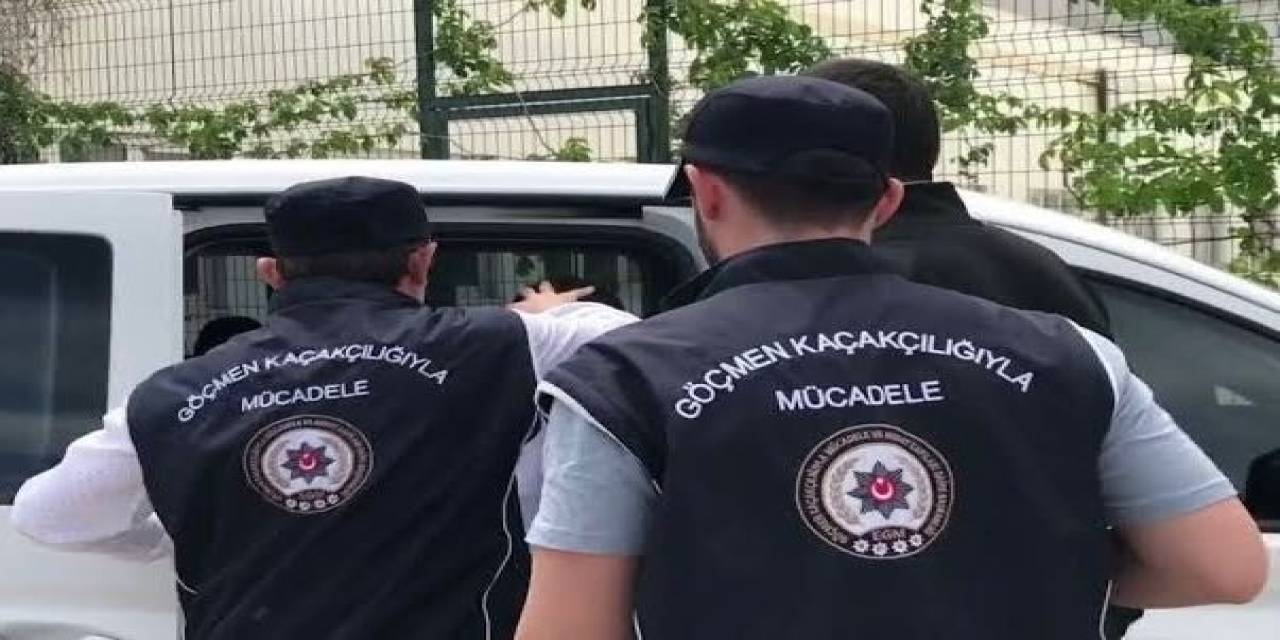 Bilecik’te 1 Deaş Üyesi Yakalandı