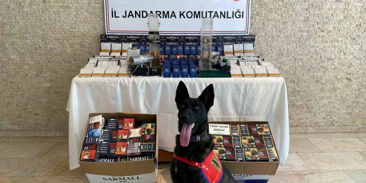 ‘Çilek’ten Kaçak Makarona Geçit Yok