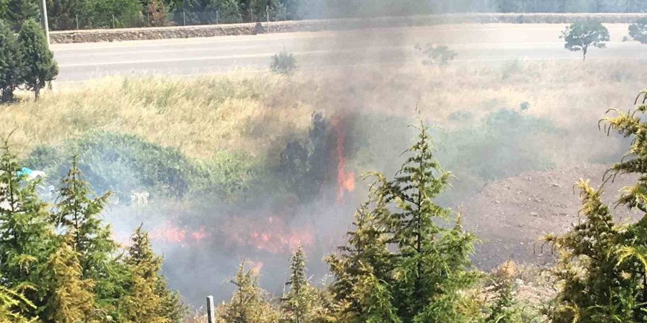 Kocaeli’de Orman Yangını: Çam Ağaçları Yandı