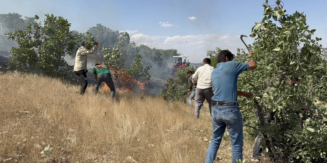 Mazıdağı’nda 20 Dönüm Ekili Arazi Küle Döndü