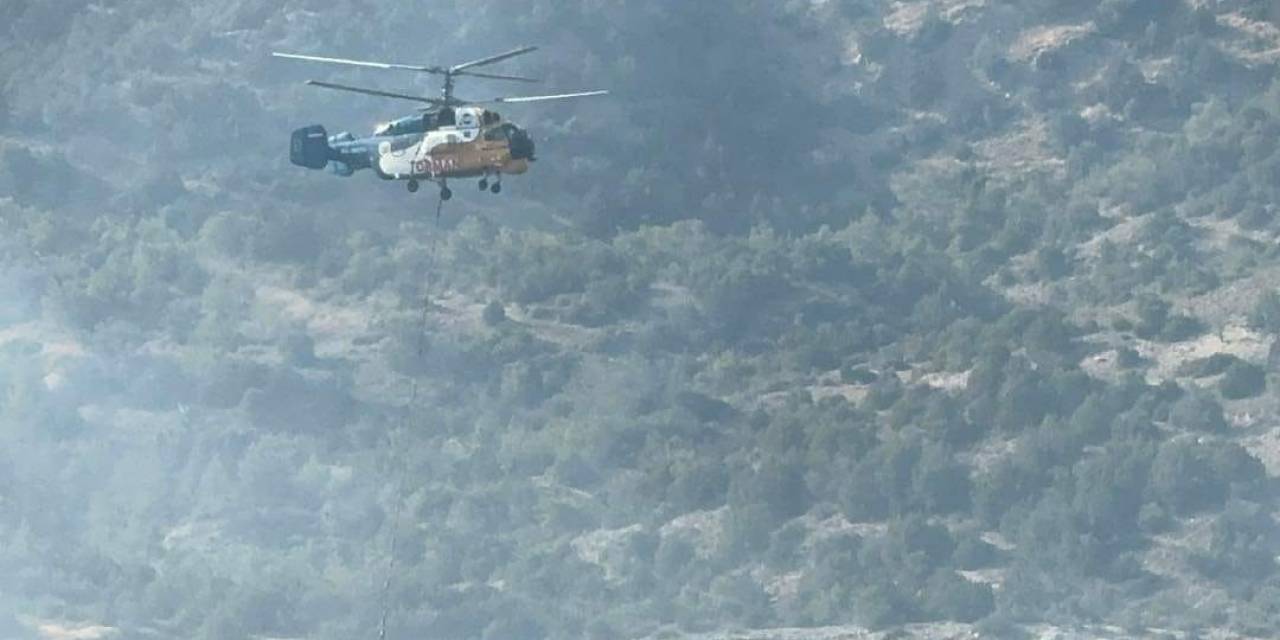 Kktc’deki Orman Yangınının Nedeni Belli Oldu