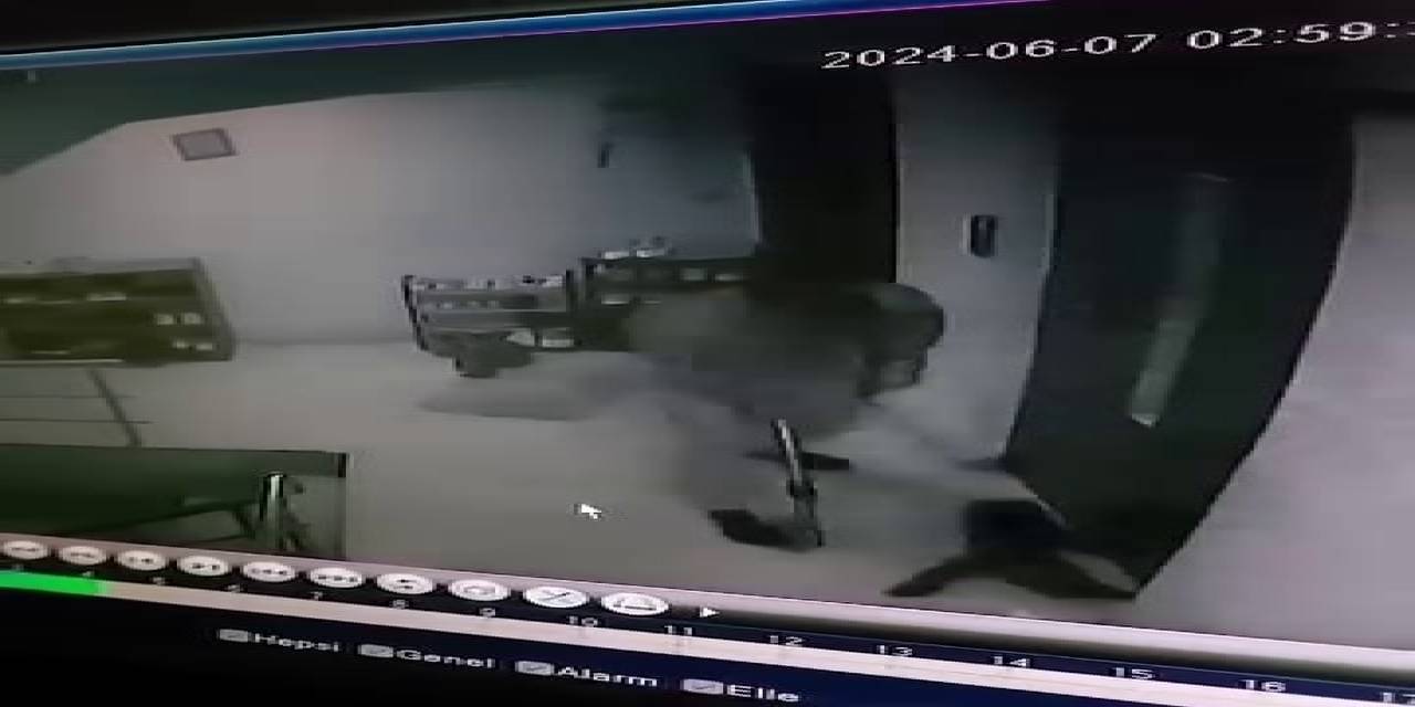 Kediye Apartmanda Sopayla Saldırdı