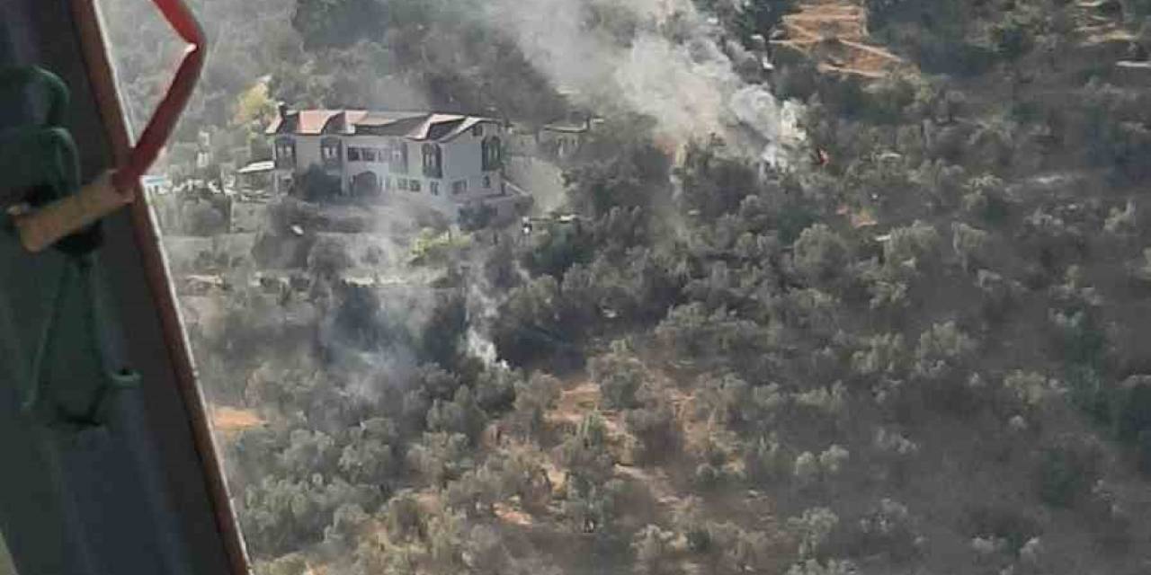 Balıkesir’de Zeytinlik Yangını