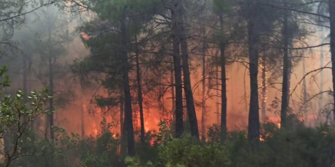 Arazide Çıkan Yangın Ormana Sıçradı, 25 Dekar Alan Yandı
