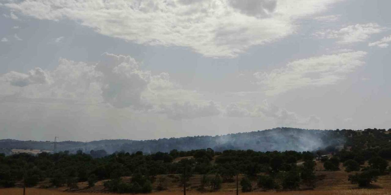 Uşak’ta 4 Hektarlık Makilik Alan Yandı