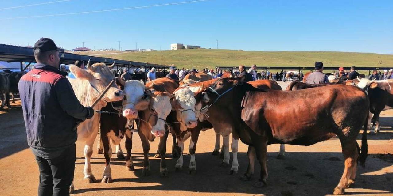 Bayburt’ta Kurban Bayramı Heyecanı