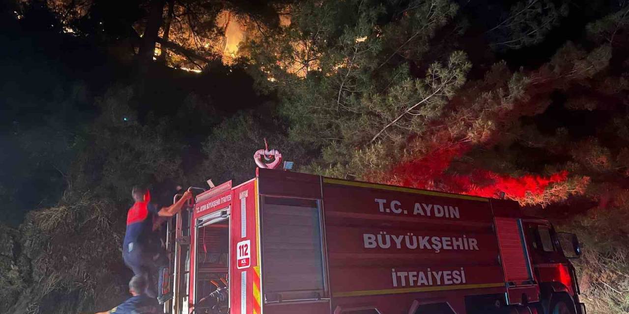 Kuyucak’ta Zirai Alan Yangını