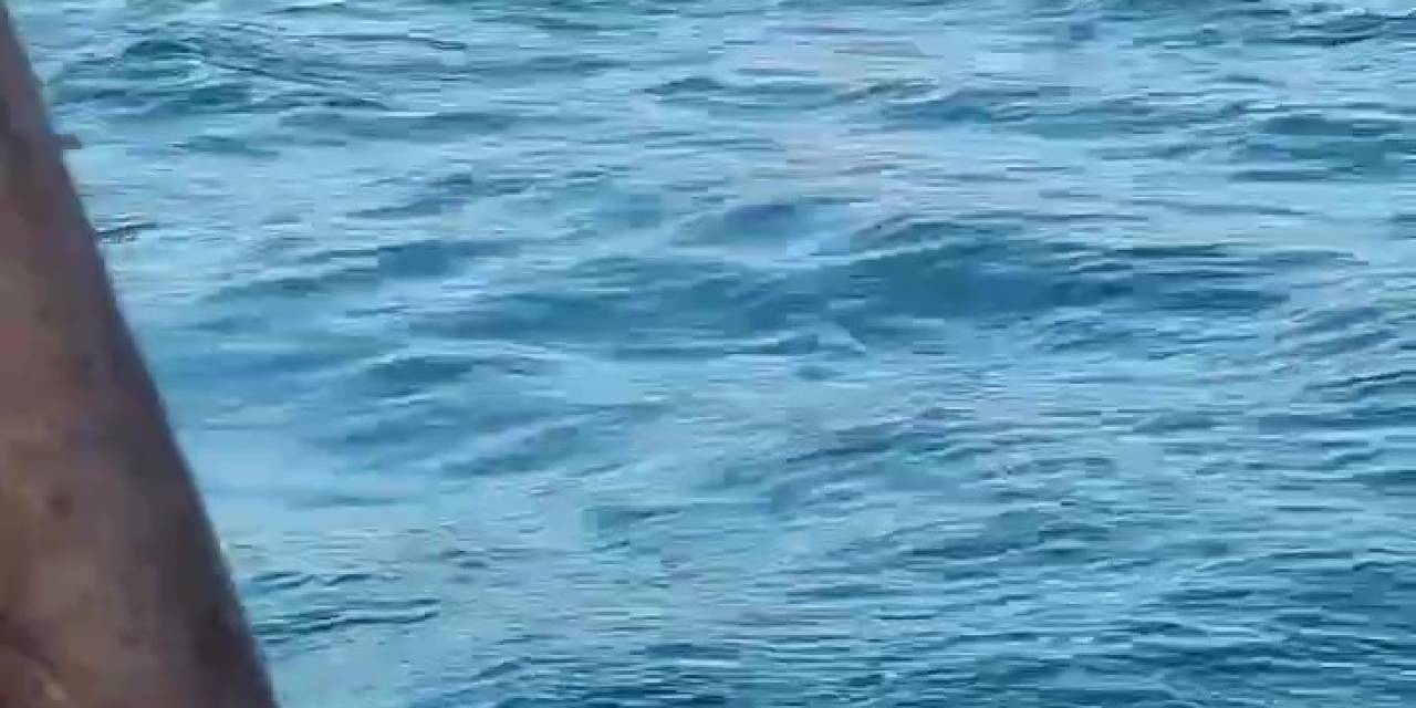 Üsküdar’da Vapurdan Denize Düşen Yolcunun Kurtarılma Anı Kamerada