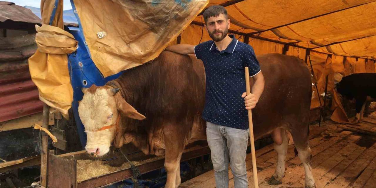 Kocaeli’de Kurbanlıkların Yarısı Satıldı