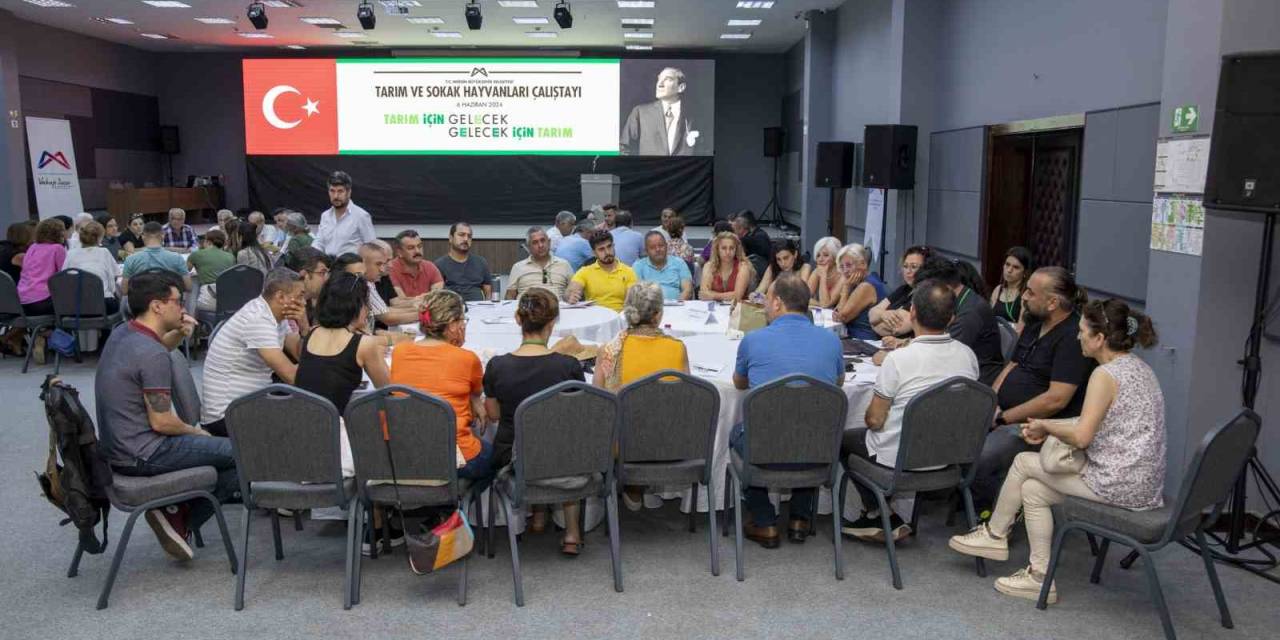 Mersin’de ’tarım Ve Sokak Hayvanları Çalıştayı’ Düzenlendi