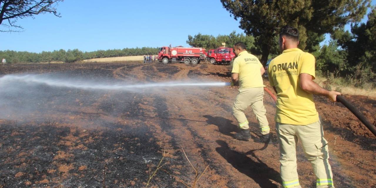 Bayramiç’te Çıkan Yangında 100 Dönüm Alan Zarar Gördü
