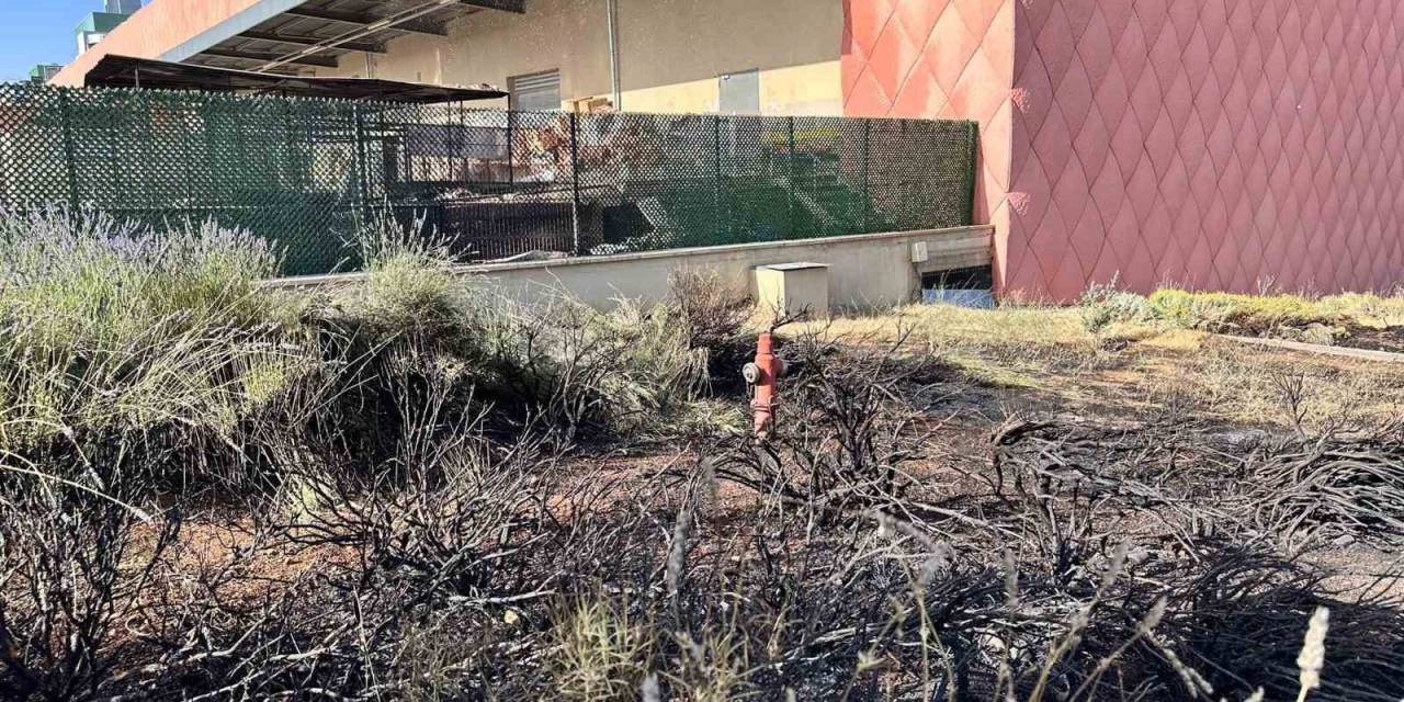 Gaziantep Primemall Avm’de Korkutan Yangın