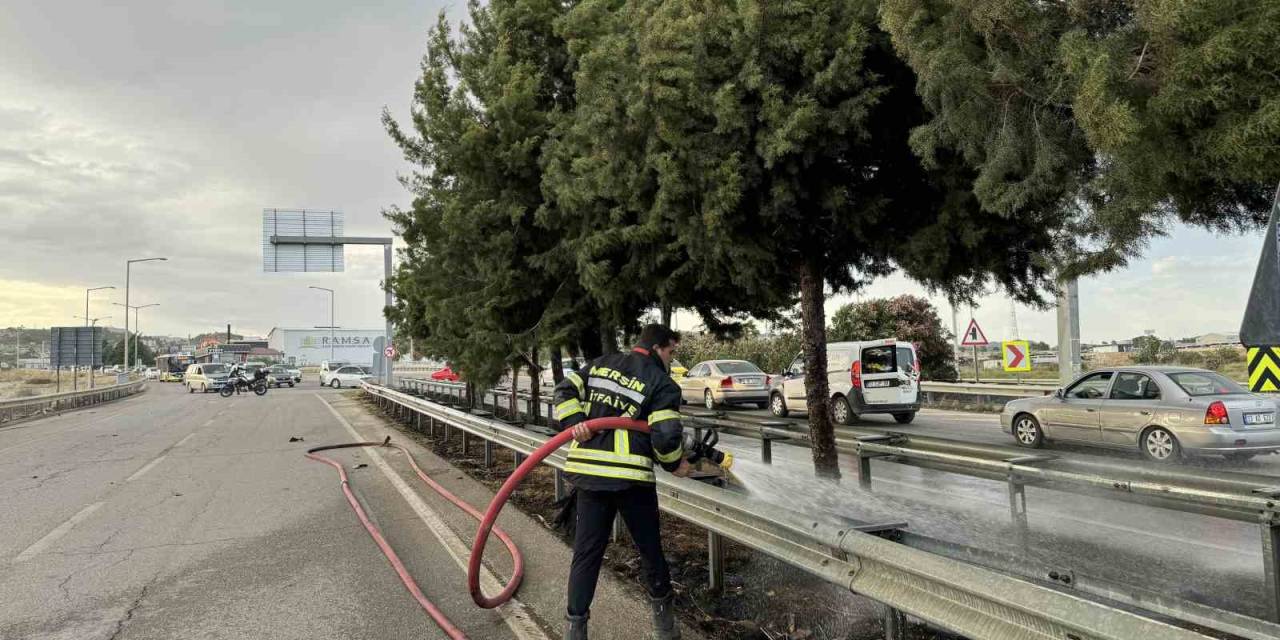 Mersin’de Refüjdeki Ağaçlar Yandı