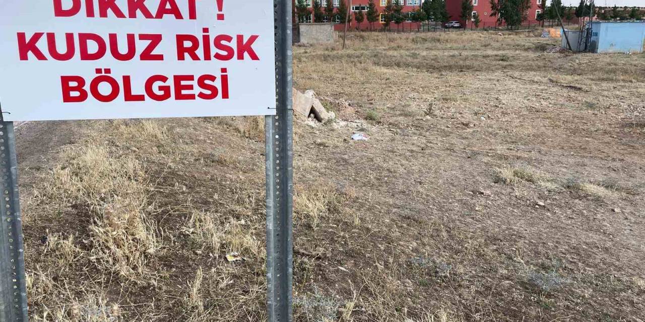 Şanlıurfa’da Kuduz Vakaları Nedeniyle 2 Mahalle Karantinaya Alındı