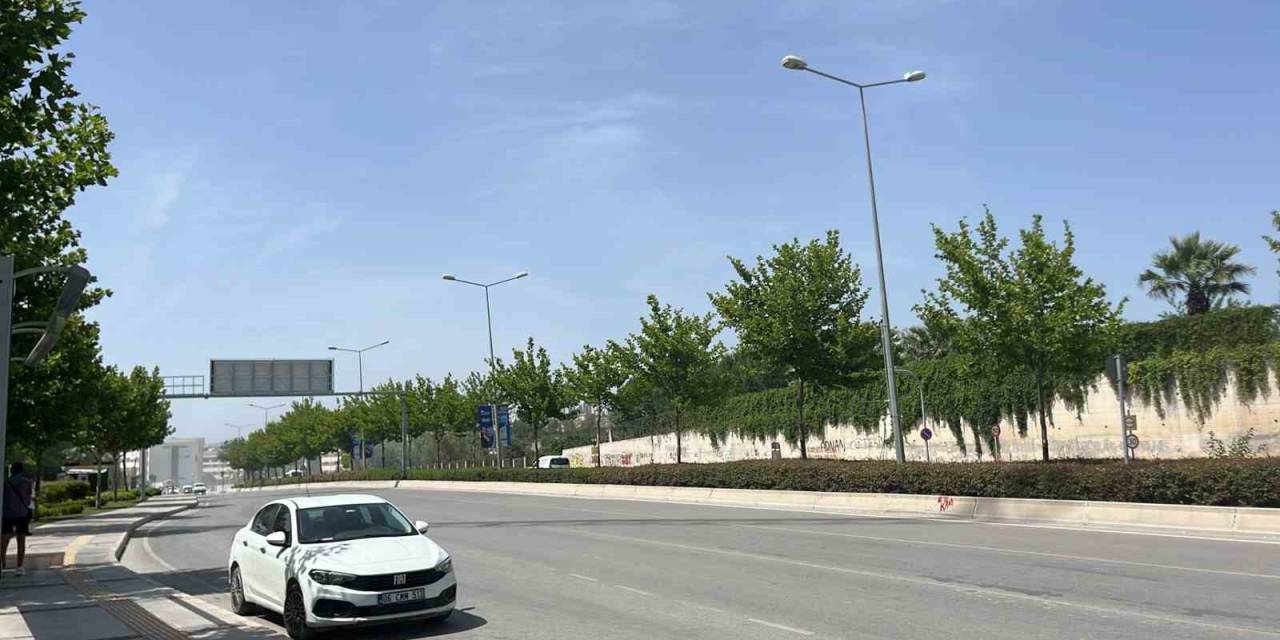 Ağaçlar Taşınarak Koruma Altına Alınacak