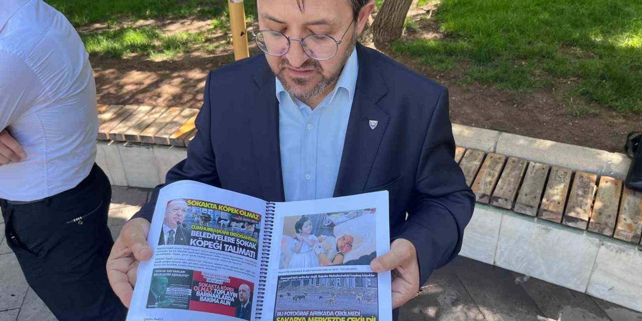 Sokakların Güvenliği İçin Vatandaşlar Sahipsiz Köpek Sorununa Çözüm Bekliyor