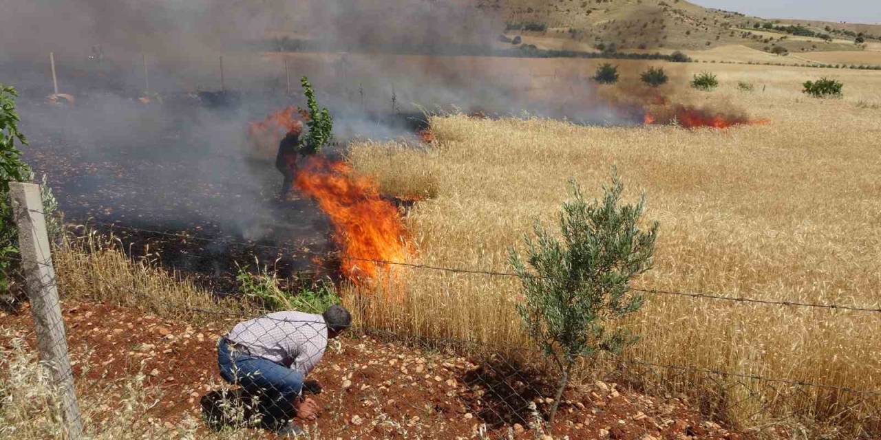 Kaza Sonrası Buğday Tarlaları Cayır Cayır Yandı