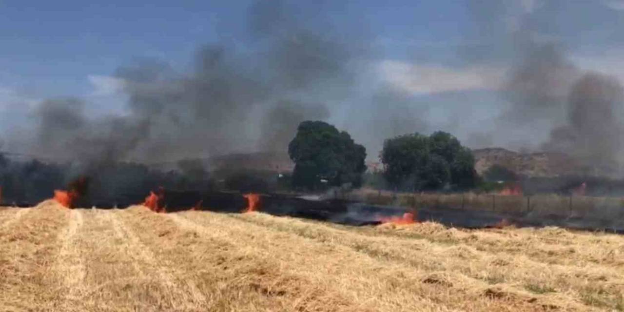 İzmir’de Ekin Tarlasında Yangın: 30 Dekar Alan Kül Oldu