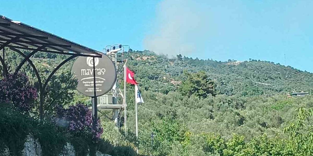 Ayvacık’ta Orman Yangını