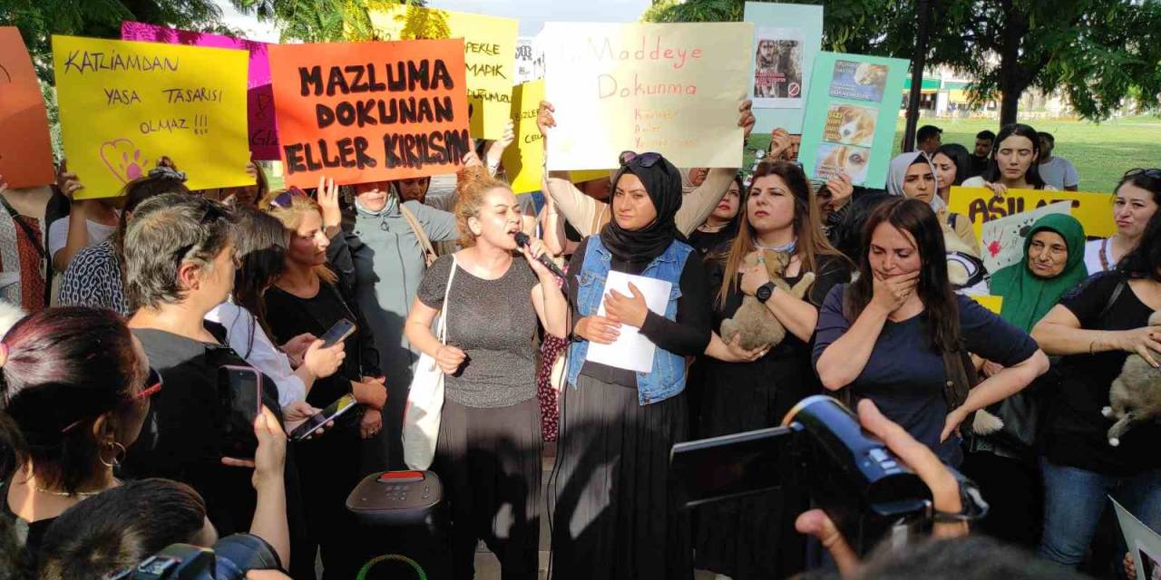 Hayvanseverleri Ayağa Kaldıran Görüntüler