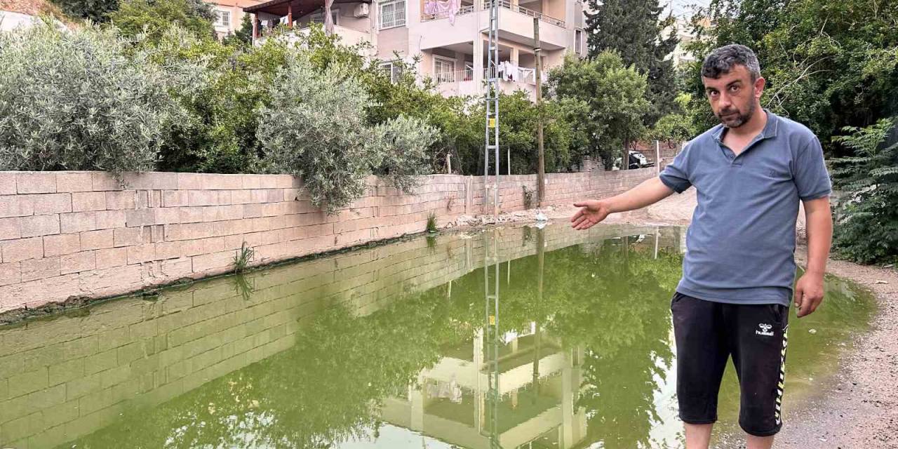 Su Birikintisi Yeşil Renge Büründü