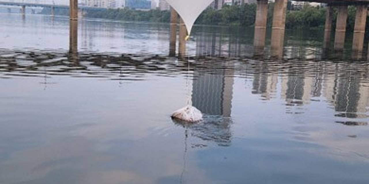 Güney Kore’den Kuzey’e Yeni Misilleme: Sınıra Dev Hoparlörler Yerleştirdi