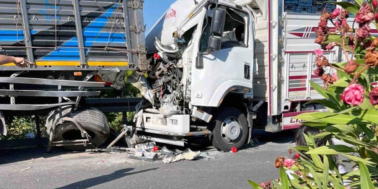 Köyceğiz’de Feci Kaza: 2 Ölü