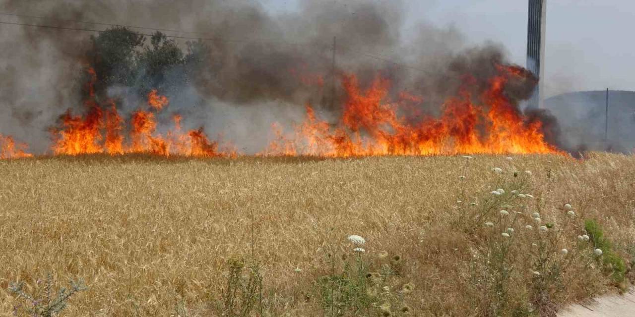 Çanakkale Valiliği’nden Hava Sıcaklığı Ve Orman Yangını Uyarısı
