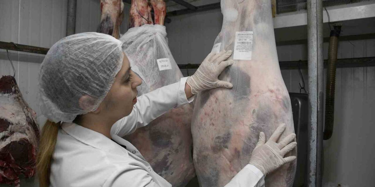 Uzmanlar Uyardı: "Taze Etler Şoklandıktan Sonra Eksi 18 Derecede 6 Ay Saklanabilir"