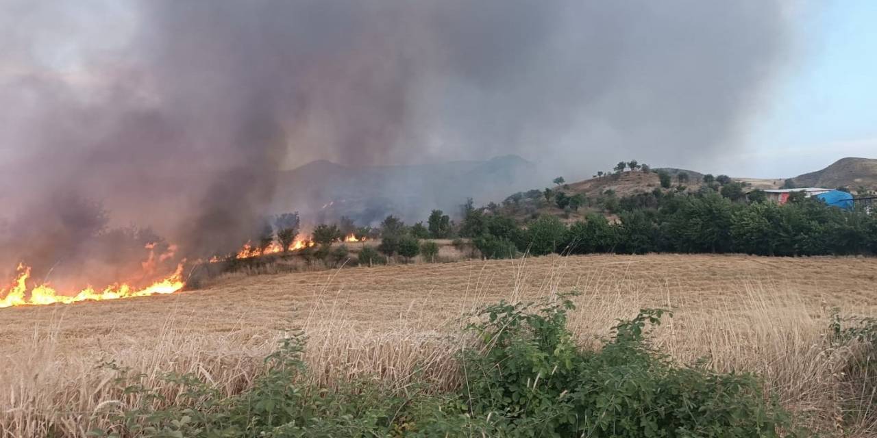 Saman Yangınında Hayvanlar Tahliye Edildi