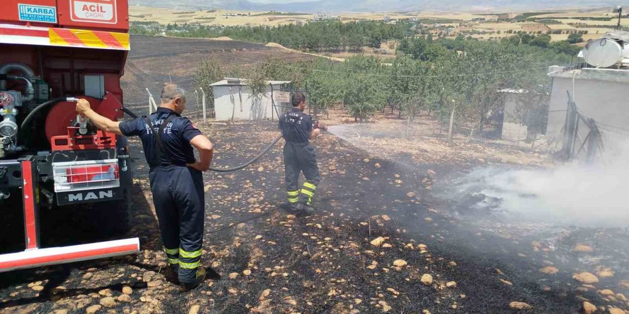 Anız Yangını Bahçeye Sıçradı