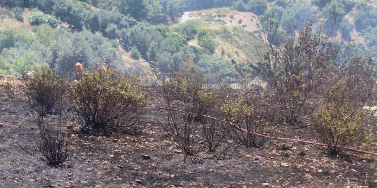 Alanya’da Otluk Olan Yangını İtfaiye Ekiplerince Söndürüldü