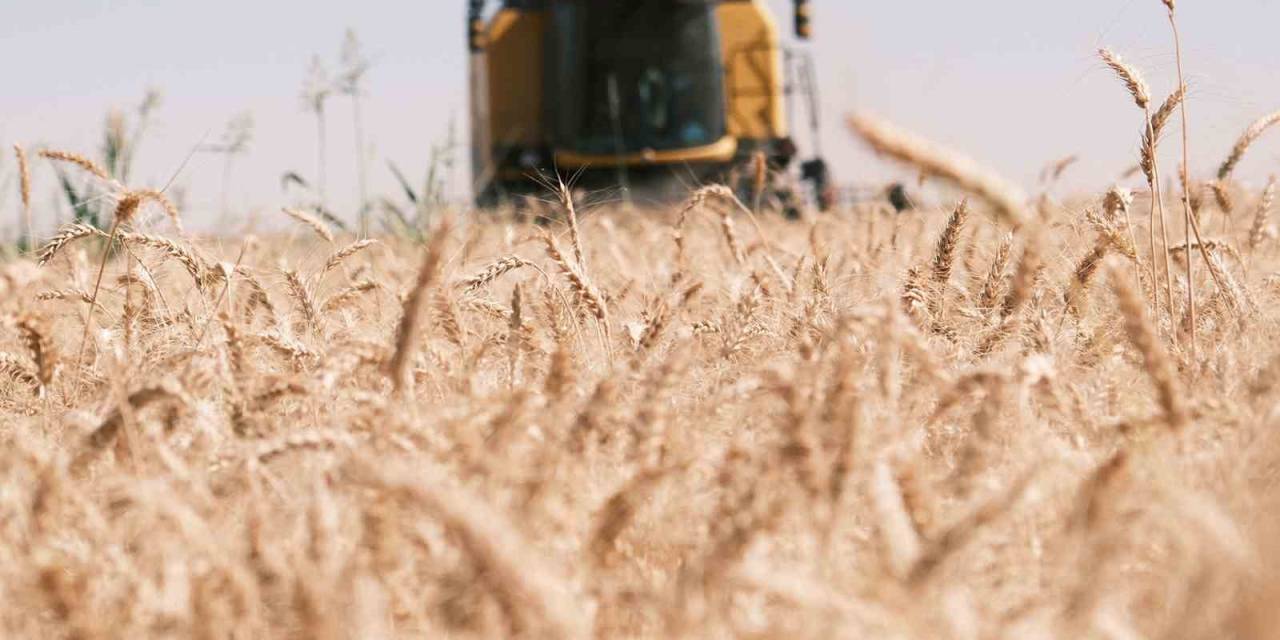 Emekli Öğretmenin Mardin’de Zorlu Biçerdöver Mesaisi