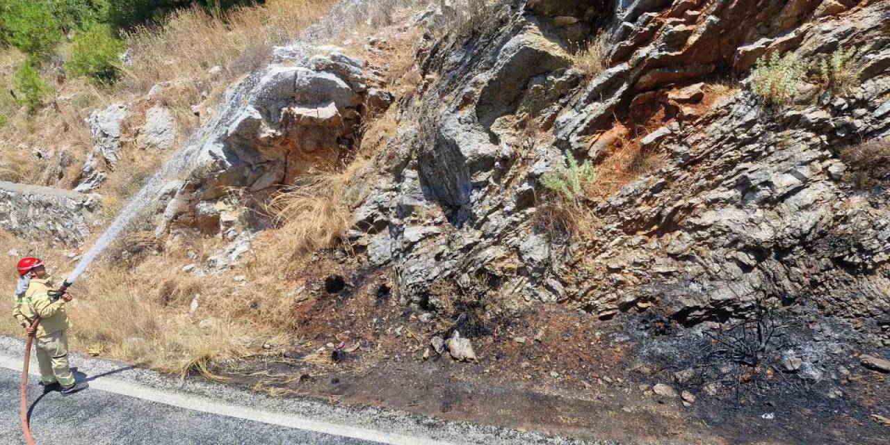 Yol Kenarındaki Yangın Ormana Sıçramadan Söndürüldü