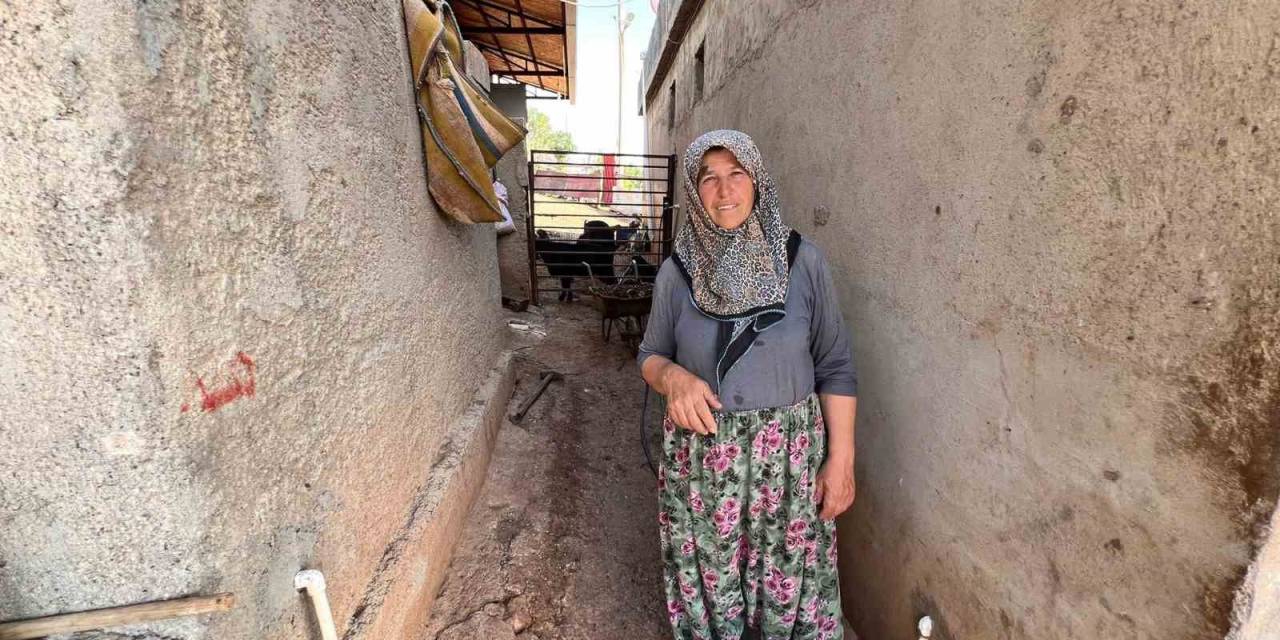 Kurbanlık Satıcısı Kadın: “Kurbanlıklar Pahalı Satılıyor Bu Kadar Olmaz"