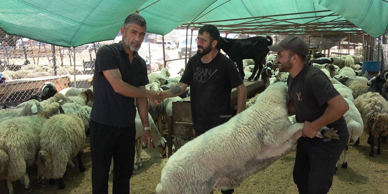Mersin’de Kurbanlık Hayvan Pazarlarında Hareketlilik Başladı