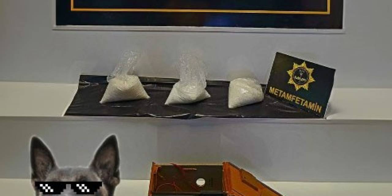 Aracın Ses Sistemi Kabinindeki Uyuşturucuyu Thor Buldu