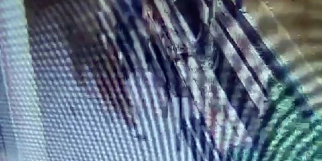 Antalya’da ’rahatsız Etme’ Cinayetine 1 Tutuklama