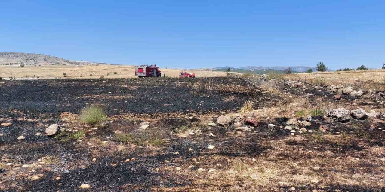 100 Dönümlük Arpa Ekili Alan Yandı