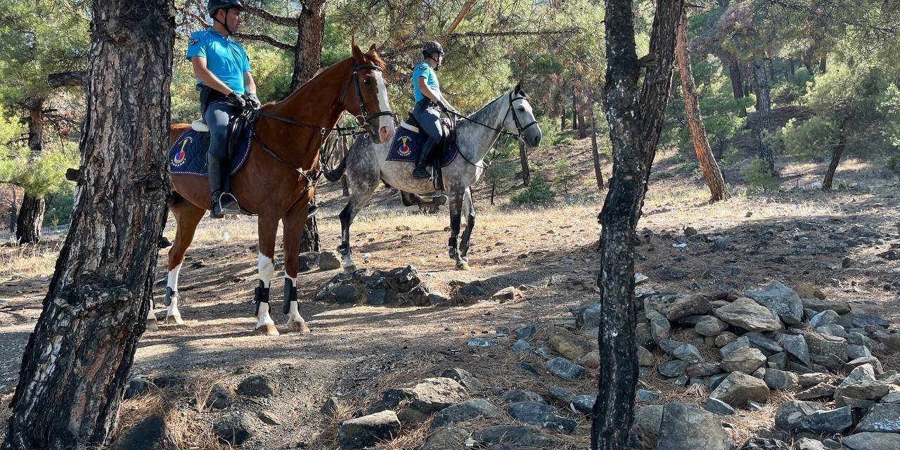 Burdur Valiliği Tarafından 15 Haziran- 15 Ekim Tarihleri Arasında Ormanlık Alana Girişler Yasaklandı