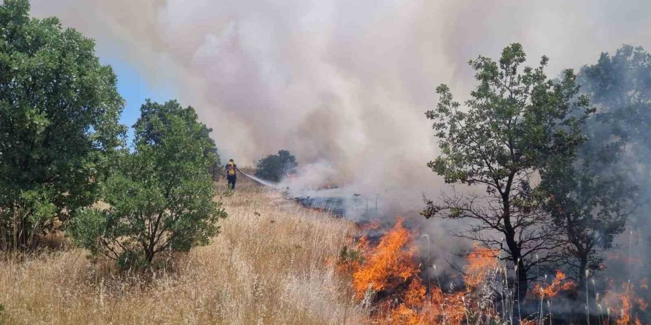 Ormanlık Alanı Tehdit Eden Yangına Anında Müdahale