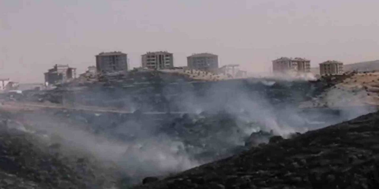 Gaziantep’te Korkutan Orman Yangını