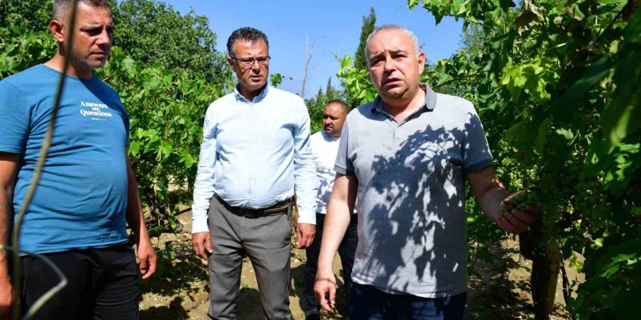 Başkan Öküzcüoğlu, Fırtına Ve Dolunun Vurduğu Bağları İnceledi