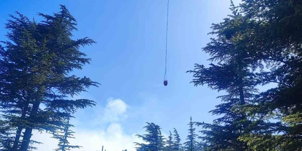 Adana’daki Orman Yangını Kontrol Altına Alındı