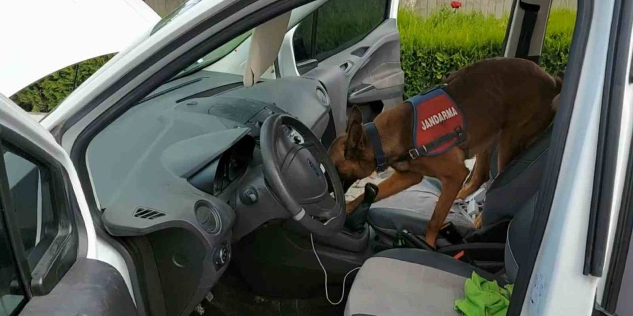 Vites Topuzu Altında Uyuşturucu Sevkiyatına Jandarma Darbesi: 2 Tutuklama