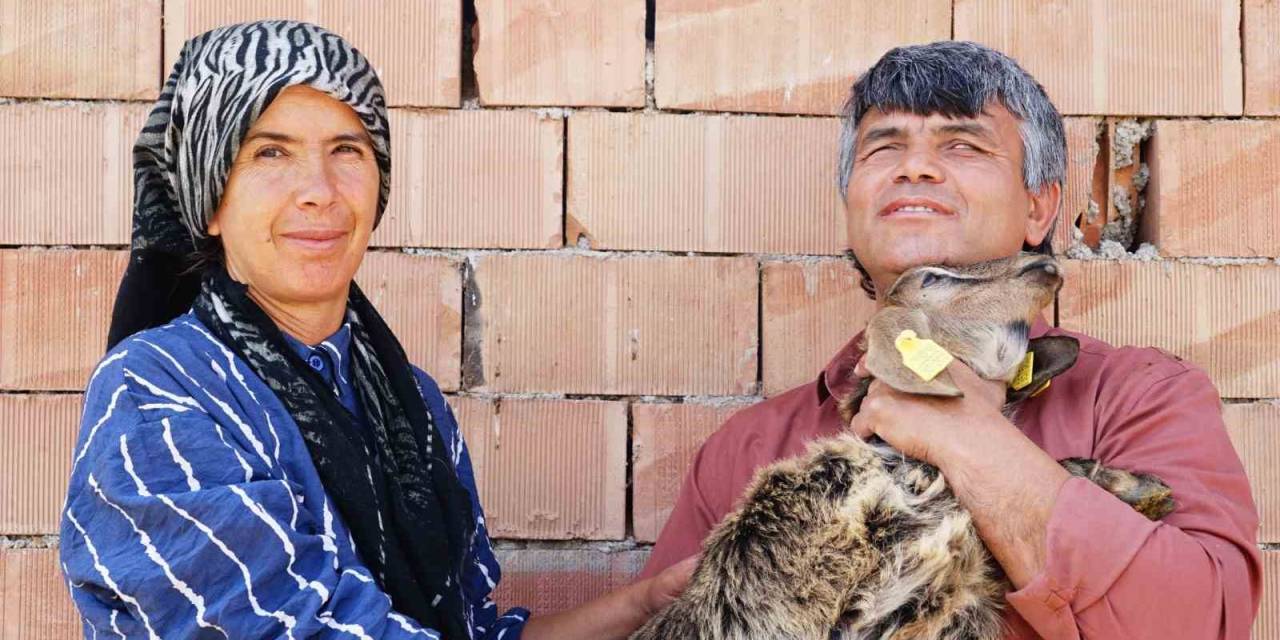 Görme Engelli Çiftin Yaşam Azmi: Hayvan Otlatıp Tarlada Çalışıyorlar