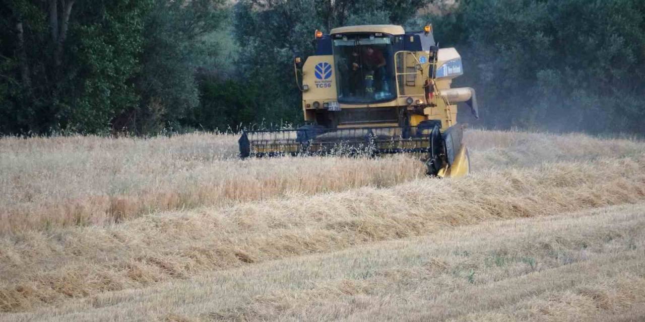 Yozgat’ta Kuraklık Nedeniyle Arpa Hasadı Erken Başladı