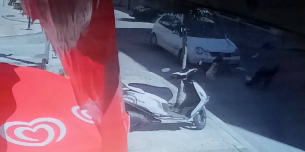 Anne Ve 2 Çocuğu Ölümden Döndü