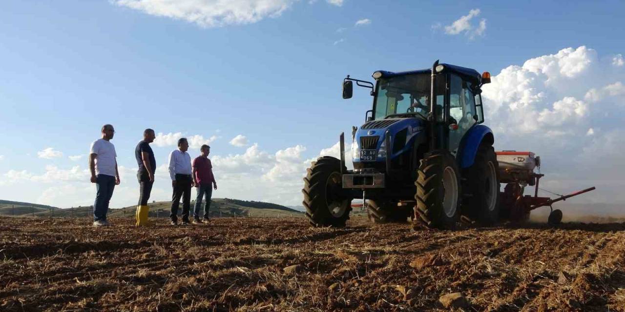 Coğrafi İşaretli Yedisu Horoz Kuru Fasulyesi, Üniversitenin Çiftlik Alanında Ekildi