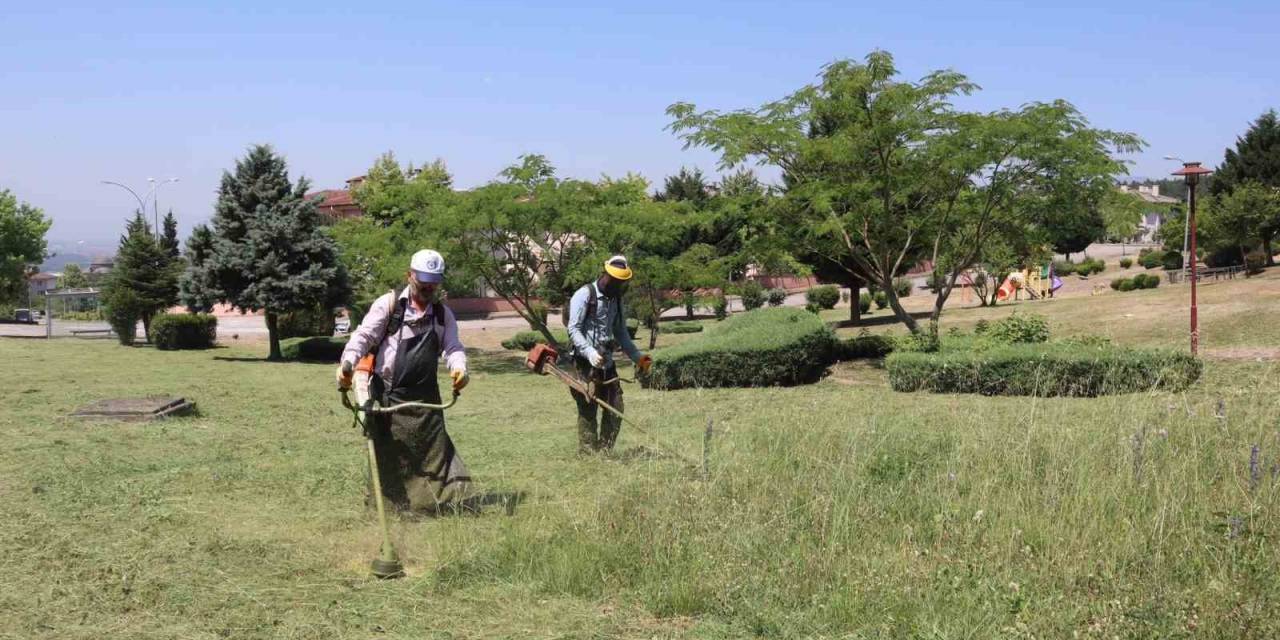 Bahçeşehir Bölgesinde Mesire Alanları Otlardan Temizlendi